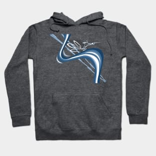 Slalom Water Ski - The Carve Master Hoodie